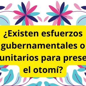 ¿Existen esfuerzos gubernamentales o comunitarios para preservar el otomí? ¿Existen esfuerzos gubernamentales o comunitarios para preservar el otomí?