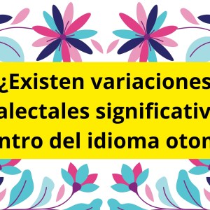 ¿Existen variaciones dialectales significativas dentro del idioma otomí? ¿Existen variaciones dialectales significativas dentro del idioma otomí?