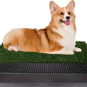 Artificial Grass Puppy Pee Pad for Dogs and Small Pets – 20×25 Reusable 3-Layer Training Potty Pad with Tray – Dog Housebreaking Supplies by PETMAKER