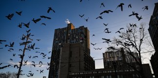 At day cares in Minnesota, strangers are showing up at their doors as parents scramble to protect staff
