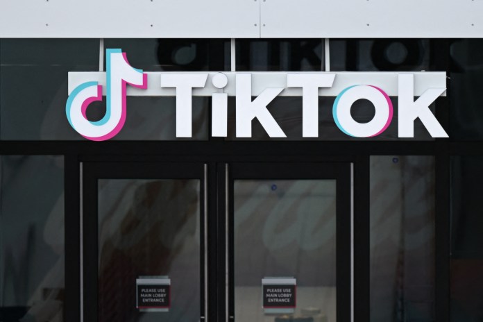 TikTok launches ‘TikTok Pro’ in Europe with built-in charity program | TechCrunch