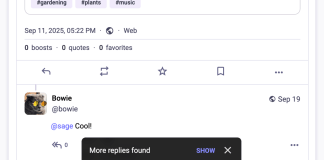 Mastodon’s latest software update brings quote posts to all server operators | TechCrunch