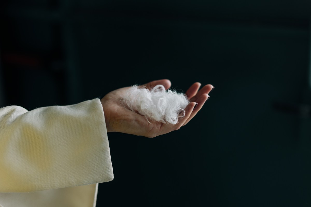 Exclusive: Everbloom built an AI to turn chicken feathers into cashmere | TechCrunch