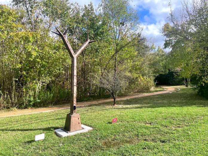 How Wiess Park Changed Into A Houston Outdoor Art Garden How Wiess Park Changed Into A Houston Outdoor Art Garden