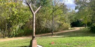 How Wiess Park Changed Into A Houston Outdoor Art Garden