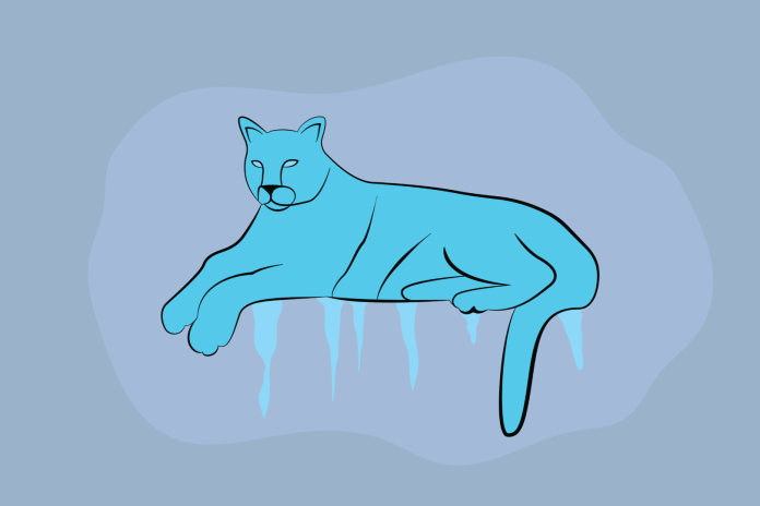 How to prepare for the upcoming freeze – The Cougar How to prepare for the upcoming freeze – The Cougar