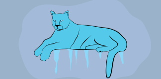 How to prepare for the upcoming freeze – The Cougar
