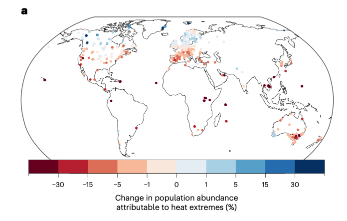 Fossil-fuelled heat has caused tropical birds to decline by ‘up to 38%’ since 1950s – Carbon Brief