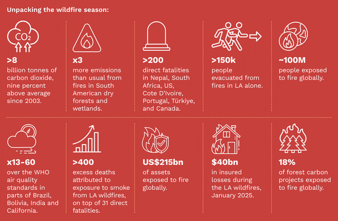 Global wildfires burned an area of land larger than India in 2024 – Carbon Brief