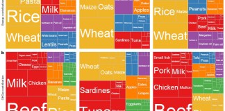 Adopting low-cost ‘healthy’ diets could cut food emissions by one-third – Carbon Brief