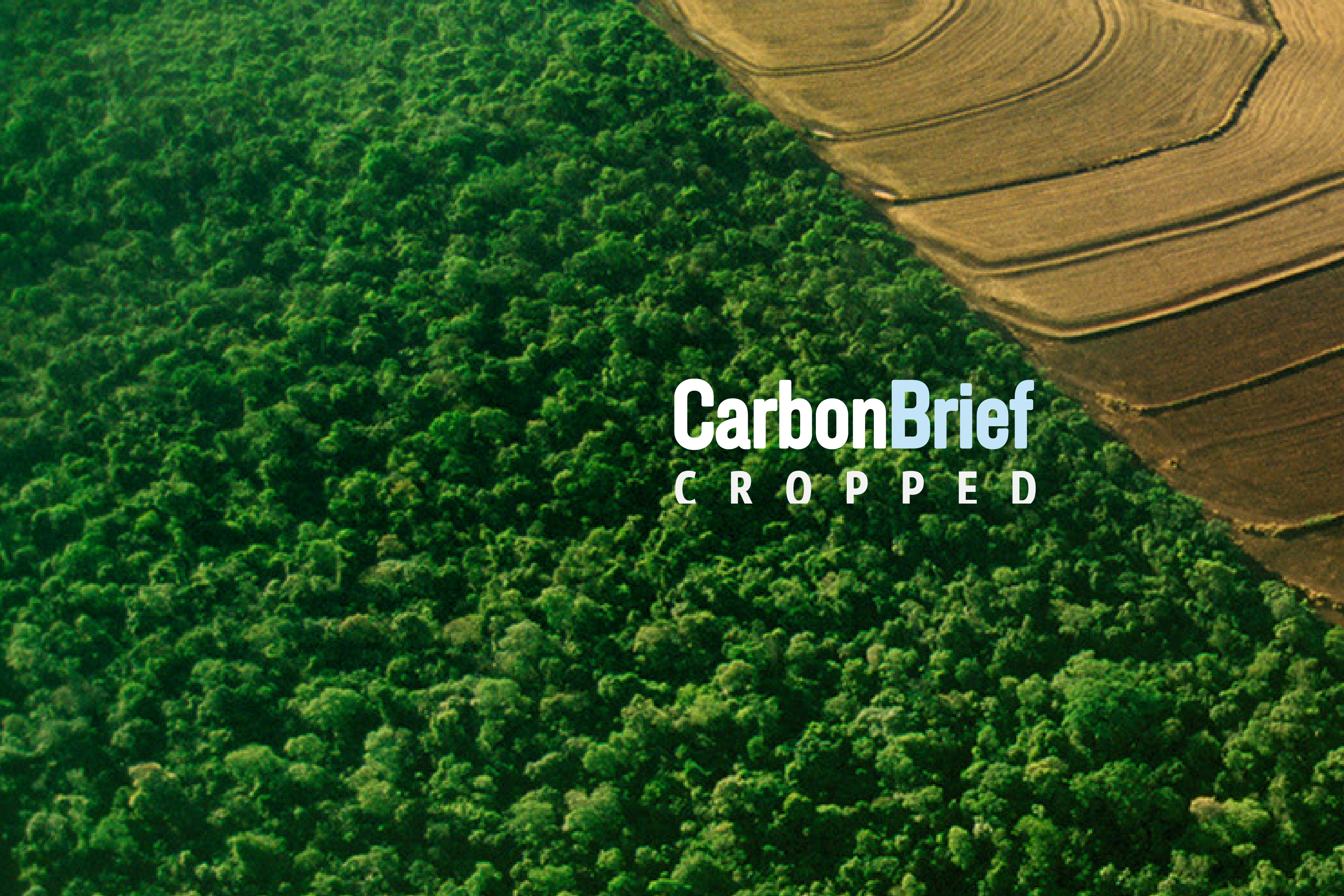 Cropped 19 November 2025: COP30 edition – Carbon Brief | FROUSA NEWS