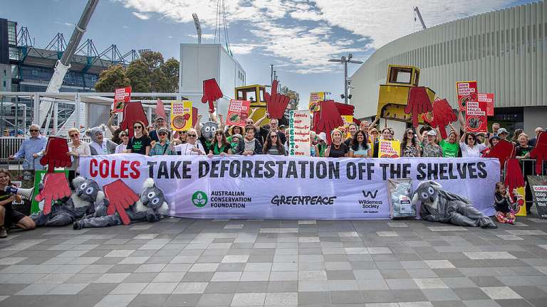 Down down, deforestation is down! – Greenpeace Australia Pacific Down down, deforestation is down! – Greenpeace Australia Pacific