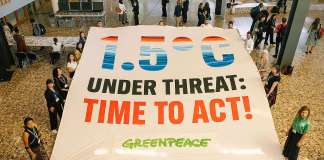 All eyes on Brazil: What to expect at COP30 – Greenpeace Australia Pacific