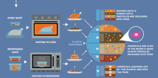 Reheating plastic food containers: what science says about microplastics and chemicals in ready meals – Greenpeace Australia Pacific
