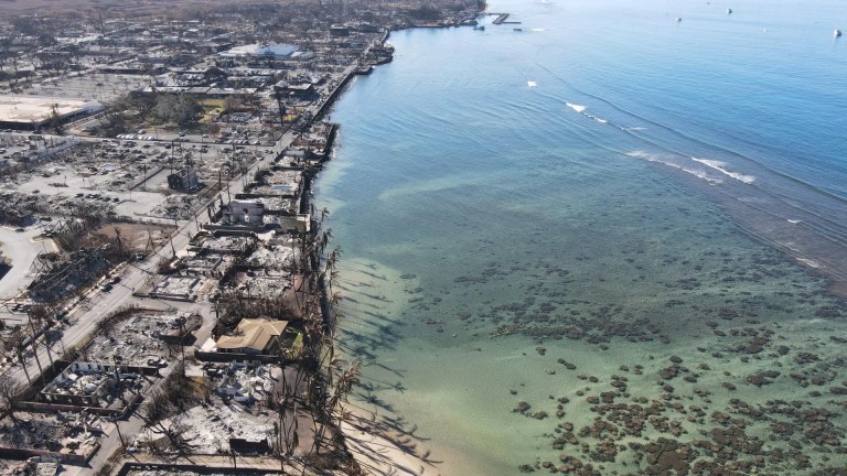Maui’s fires drove a 67% jump in deaths. Most went uncounted Maui’s fires drove a 67% jump in deaths. Most went uncounted