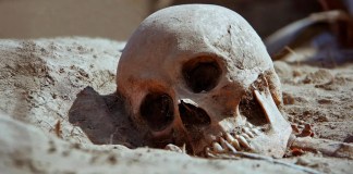 2700-year-old teeth reveal the hidden lives of Iron Age Italians