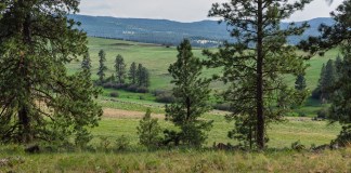 Oregon Faced a Huge Obstacle in Adding Green Energy. Here’s What Changed This Year.