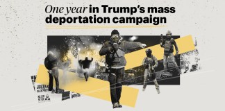 A Year in Trump’s Mass Deportation Campaign