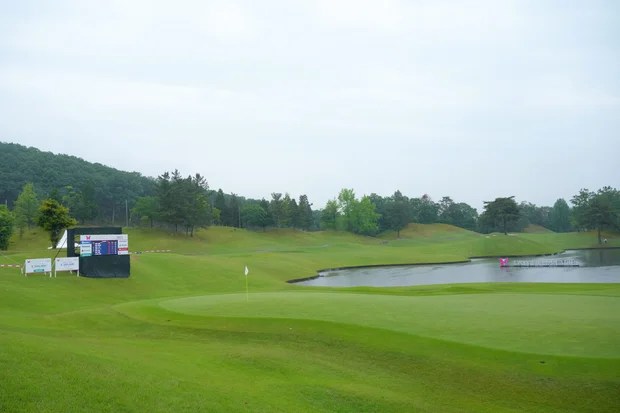 Bear roaming golf course halts play at tournament for second time in 2 months in Japan Bear roaming golf course halts play at tournament for second time in 2 months in Japan