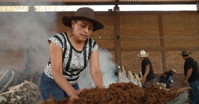 Mezcal producers preserve traditional methods as demand for liquor grows | 60 Minutes | FROUSA Media