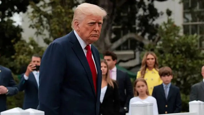 ‘He Can’t Read’: Donald Trump’s Attempt to Sound Smart About His Favorite Book Backfires After He Gets Caught in the Dumbest Way Possible