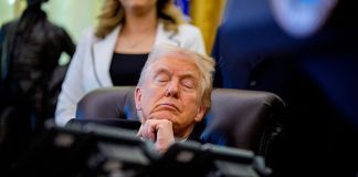 ‘He Should Resign’: Trump Turns on His Own Team, Blames Them for His Behavior as Karoline Leavitt Hopes You Miss the Confession That Blew Up Their Lies