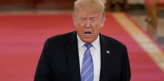 ‘HAHAAHHAAHA’: Trump Tries to Own the Room but One Tiny Detail Hijacks His Big Moment, Turning the Whole Scene Into a Comedy Special