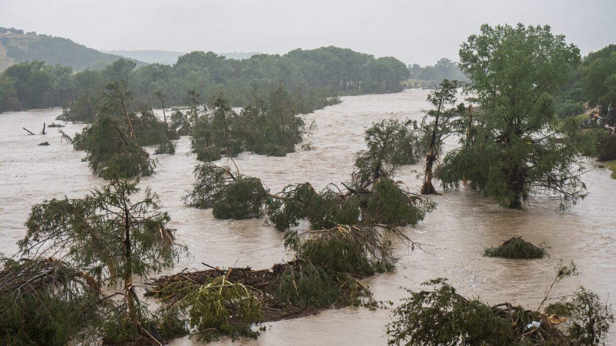 How Austinites Can Donate to Those Affected by the Central Texas Floods | FROUSA Media | FROUSA Media