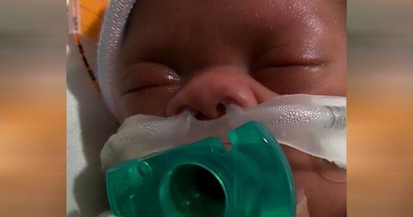 Newborn Baby Whose Mom Was Brain Dead When She Gave Birth is Still Fighting for His Life Newborn Baby Whose Mom Was Brain Dead When She Gave Birth is Still Fighting for His Life