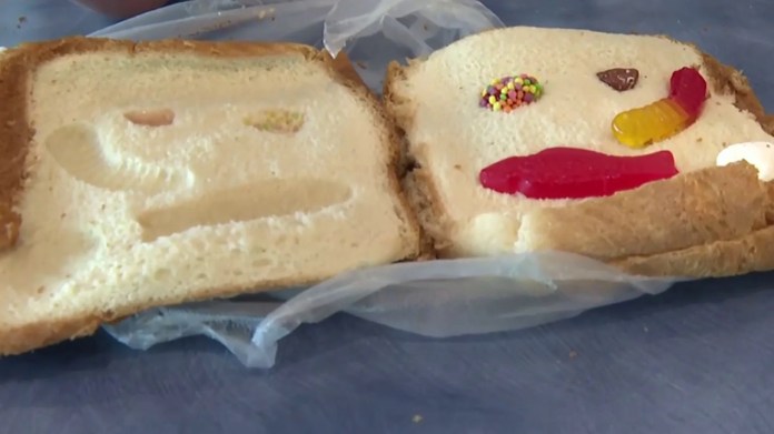 Science with Sarah: Fossil Sandwiches Science with Sarah: Fossil Sandwiches