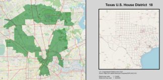 Winter weather could impact turnout for special election runoff in 18th Congressional District | Houston Public Media