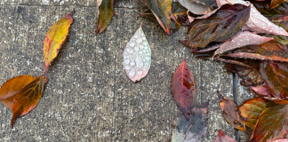 Books That Open the Mind