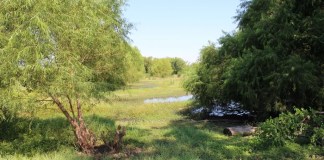 Nonprofit to bring agriculture, environmental opportunities to former Woodhaven Country Club