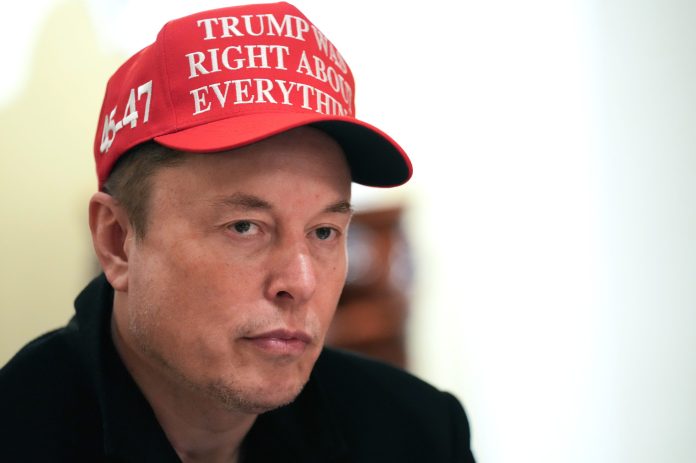 ‘Shut up, Dan’ — Elon Musk snaps at Tesla bull Dan Ives after he demands board take action against the CEO