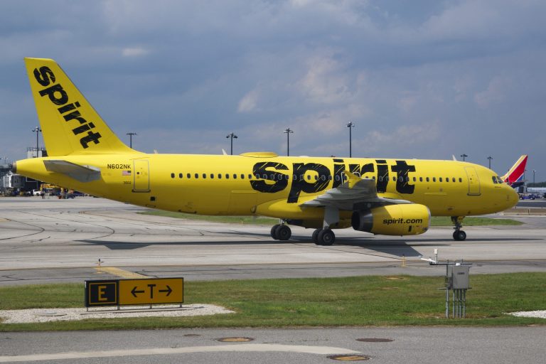 Spirit Airlines warns it might not be able to survive the next year Spirit Airlines warns it might not be able to survive the next year