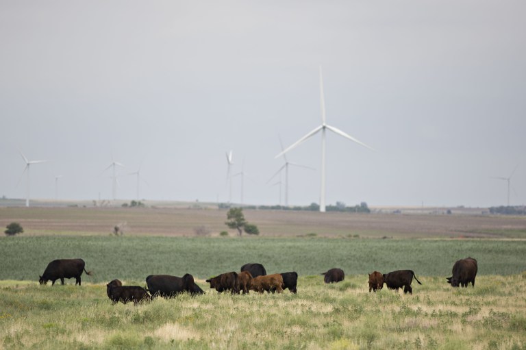 Trump’s war against wind extends into electric transmission projects Trump’s war against wind extends into electric transmission projects