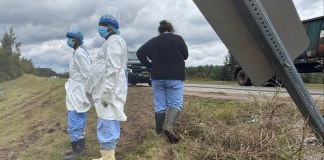 Fearing for her children’s safety, Mississippi woman shoots and kills escaped research monkey | Fortune