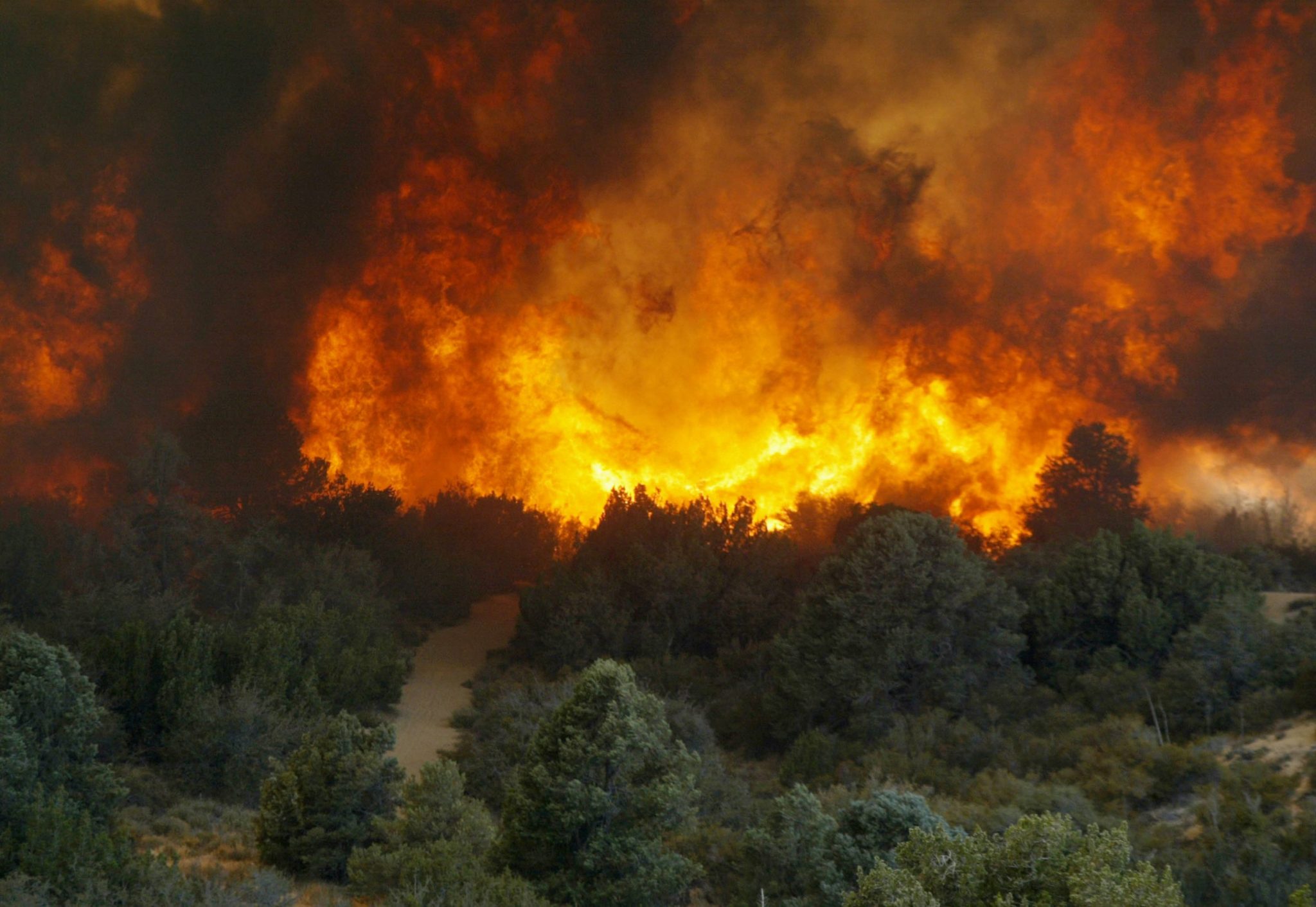 Inside the new open-source AI that helps anyone track a changing planet | Fortune | FROUSA NEWS