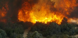 Inside the new open-source AI that helps anyone track a changing planet | Fortune