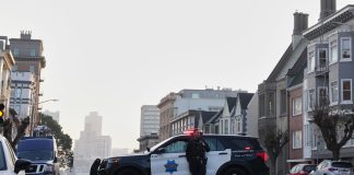 Mountain lion saunters through San Francisco’s posh Pacific Heights neighborhood before capture | Fortune