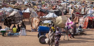 The Fall of El Fasher Marks Another Dark Turn in Sudan’s Civil War