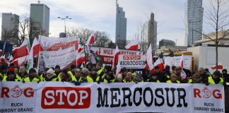 The EU-Mercosur Trade Deal May Not Be the Big Win Some in Europe Think