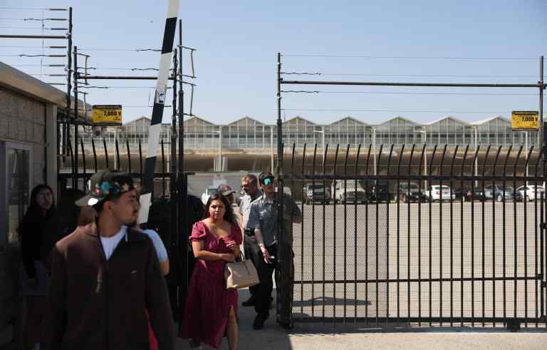 Farm worker dies after US immigration raid in California Farm worker dies after US immigration raid in California