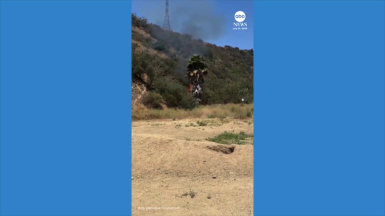 Video Hikers confront man accused of starting fire on Los Angeles trail Video Hikers confront man accused of starting fire on Los Angeles trail