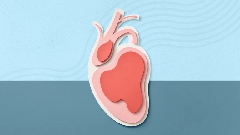 Heart Age Calculator Reveals Many Are Living With Premature Aging Heart Age Calculator Reveals Many Are Living With Premature Aging