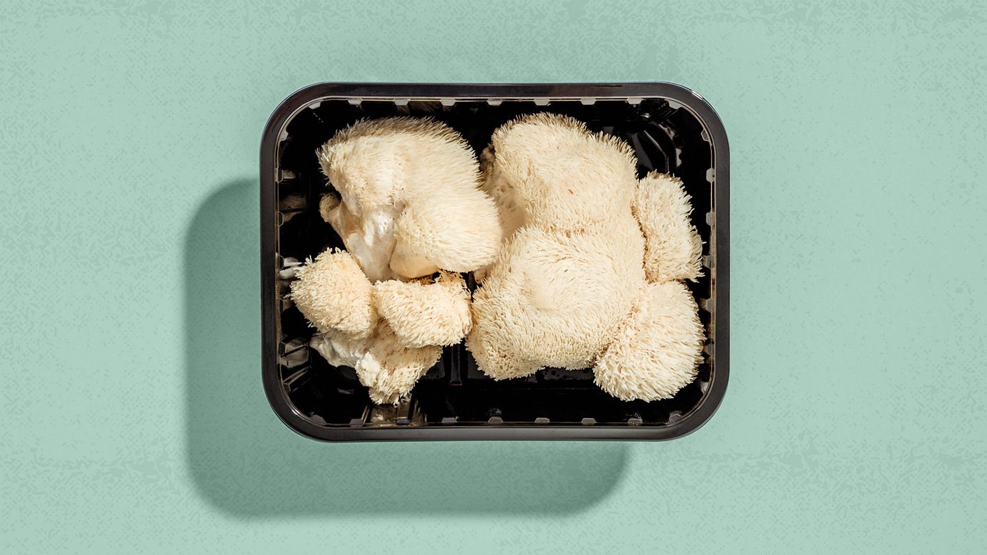 What Is Lion’s Mane? Health Benefits, Risks, More | FROUSA Media | FROUSA Media | FROUSA Media What Is Lion’s Mane? Health Benefits, Risks, More | FROUSA Media | FROUSA Media | FROUSA Media