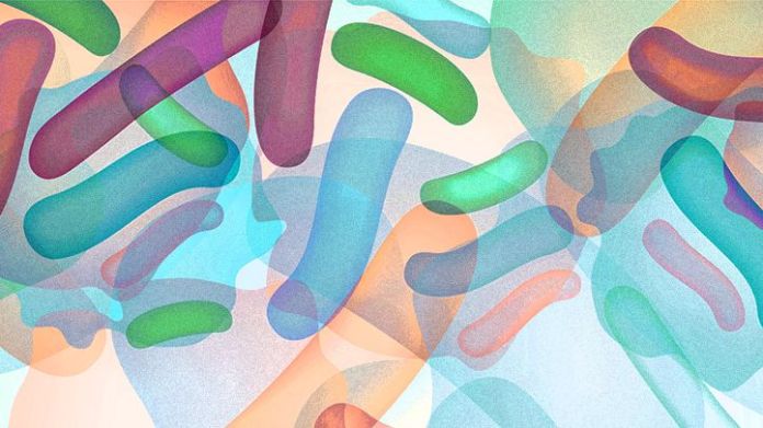 Who Should Take Probiotics: 5 Potential Benefits Who Should Take Probiotics: 5 Potential Benefits