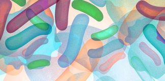 Who Should Take Probiotics: 5 Potential Benefits