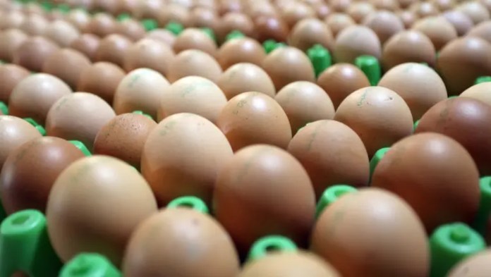 Texas food banks to receive 2 million eggs following pandemic lawsuit over price gouging Texas food banks to receive 2 million eggs following pandemic lawsuit over price gouging