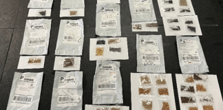 Texans warned not to plant unmarked seed packets from unknown senders